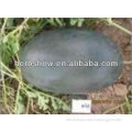 Black Watermelon Seed for Growing